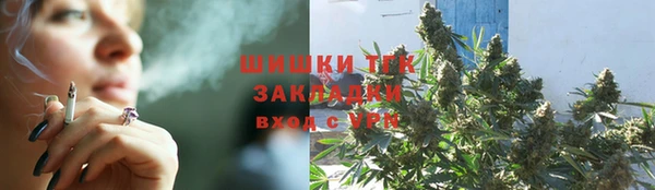 apvp Каменка
