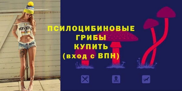 молекула духа Каменск-Шахтинский
