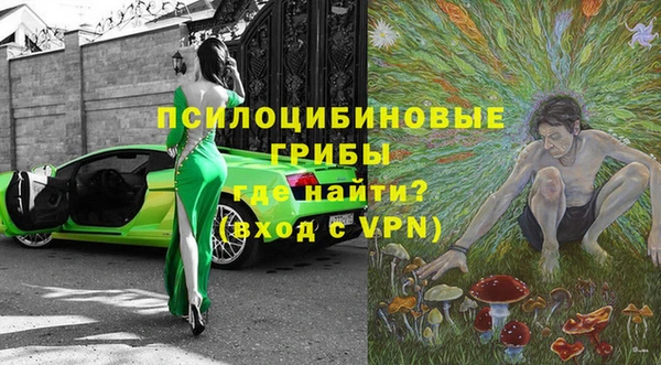 хмурый Инсар