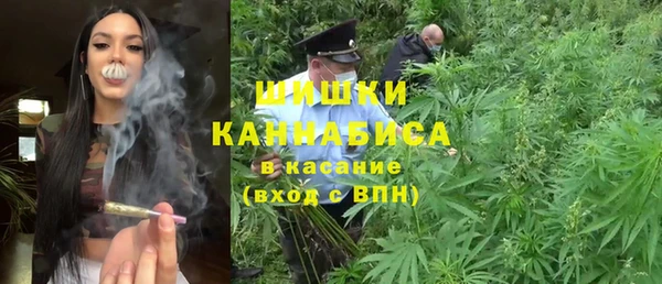 хмурый Инсар