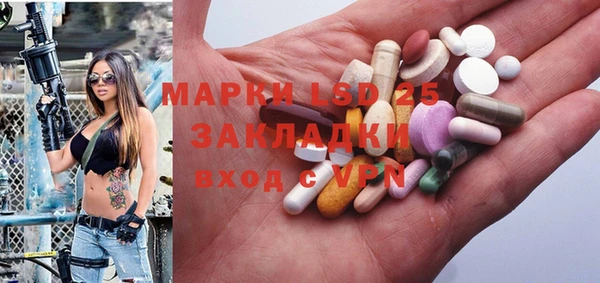 хмурый Инсар