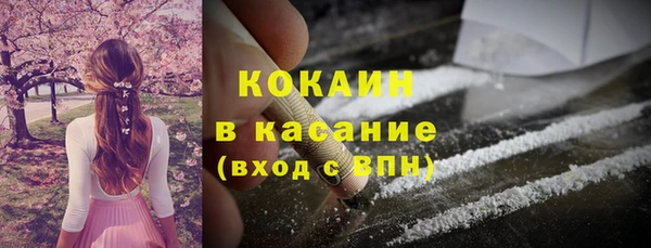 apvp Каменка