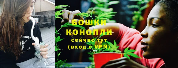 хмурый Инсар
