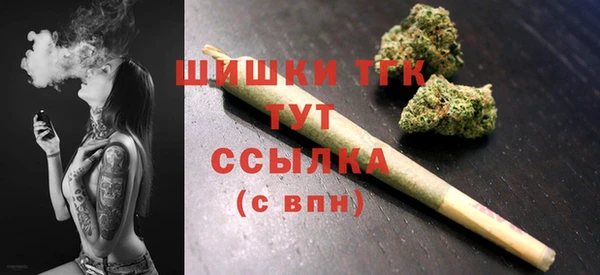 хмурый Инсар