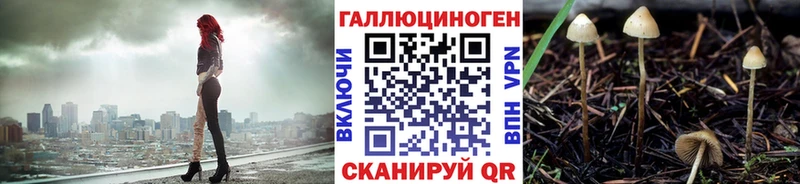 Псилоцибиновые грибы прущие грибы  Купить где  Астрахань 